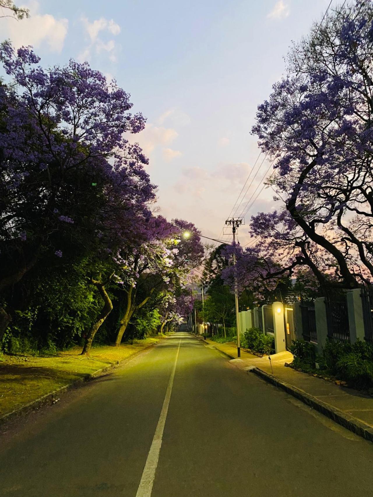 Avenue Luxury Pretoria-Noord